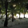 Pelican Beach Resort sur l'île de South Water Caye, Cayes du Sud