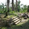 Lower Dover Field Station & Jungle Lodge, Unitedville, Cayo